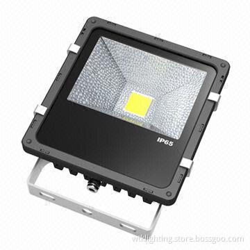 30W COB LED Floodlight, Bridgelux